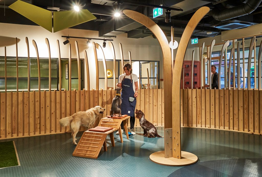 WagWorks Daycare, London London Building Control